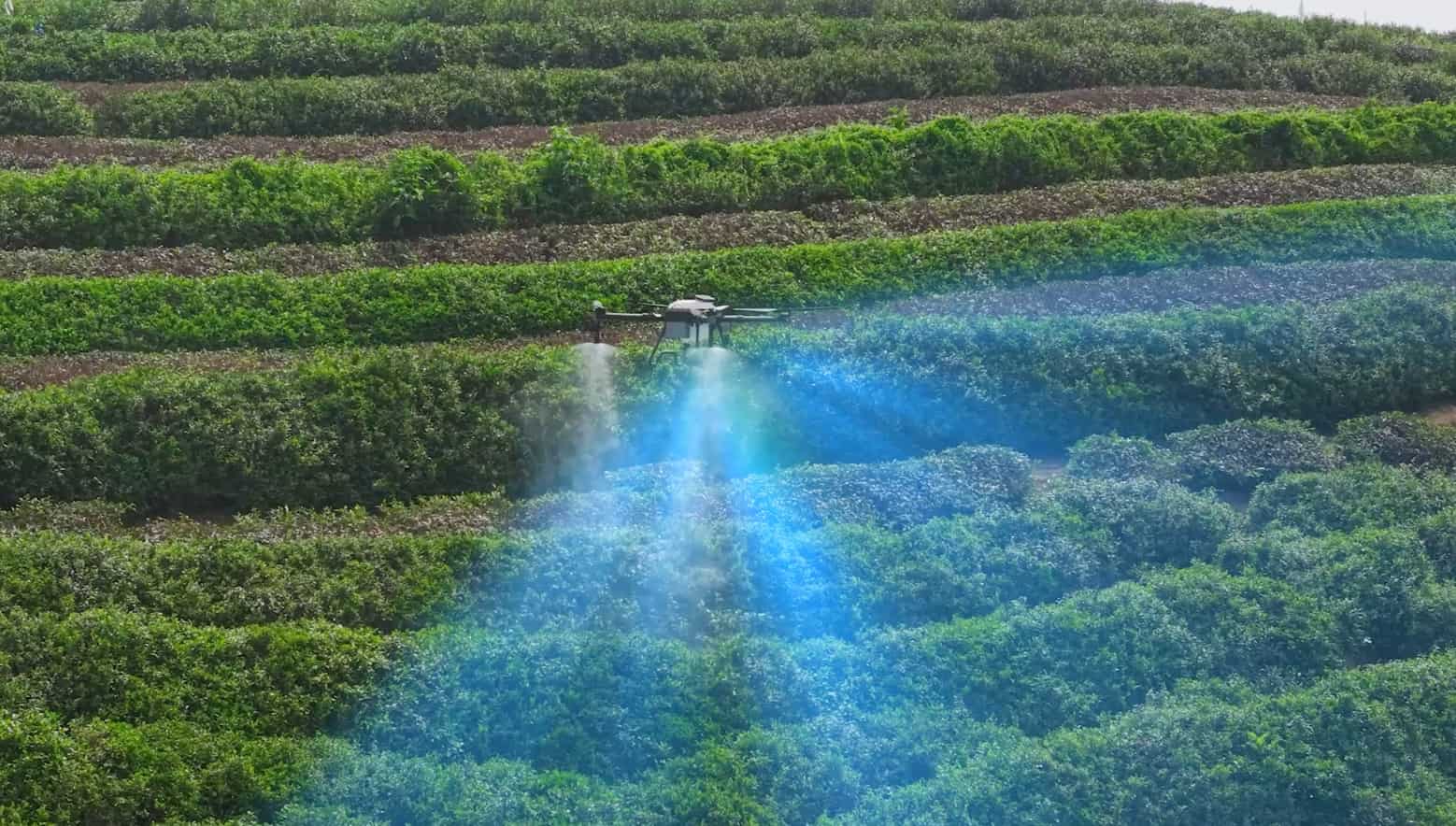 Moneypro MP300E Agricultural Drone