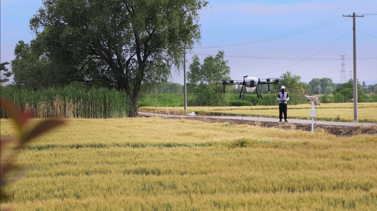 Moneypro MP300E Agricultural Drone